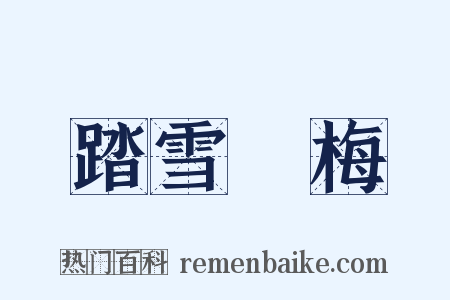 踏雪尋梅是什么意思的图片